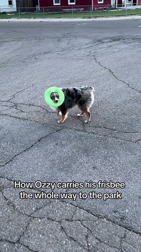 Chloe Garry on TikTok