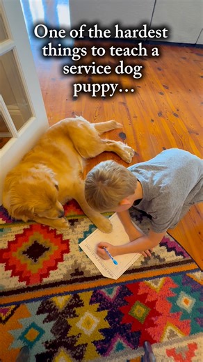 “Doing nothing” is actually one of the hardest skills for a service dog puppy to learn — and here’s why: Because it takes emotional maturity to settle when everything around them is exciting. Because they must learn impulse control, not through force, but through trust and consistency. Because a real service dog spends most of their day waiting calmly beside their person at school, in appointments, and in busy public places. Because people staring and telling them how cute they are is oh-so temp