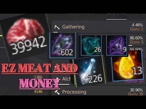 BDO Gathering rotations in 2020: Meat Edition! 5 Different spots, 150m/h or more consistently.