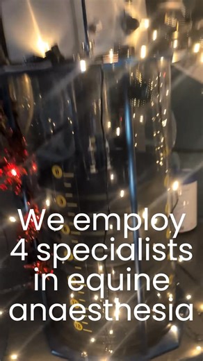 We have loved welcoming back our amazing clients this week 🤩 Here is a post from team anaesthesia (still in the festive spirit after Christmas) showing off their fancy equipment! Did you know Leahurst is home to 4 Equine Anaesthesia specialists? And 2 in training. These are all fully qualified Veterinary Surgeons who have spent years training to anaesthetise your horse, this means they are in the best hands at Leahurst❤️ #leahurst #leahurstequine #anaesthesia | Leahurst Equine Hospital