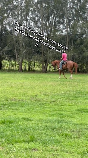 #foryou #horsesforsale #westernpleasure #cowhorse ##