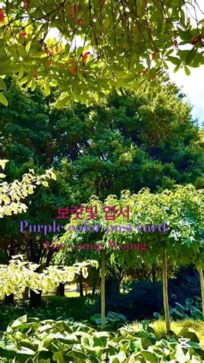#￼풍경 #뉴질랜드#임영웅 #보랏빛 엽서#Lim young woong#puple post card