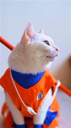 Top 5 Cats Wearing Anime Costumes 😺🔥 Anime Fans Will Love #4!