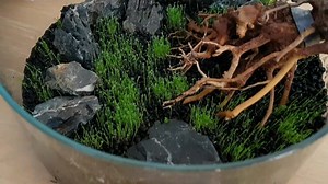 TheMossBossStudio - Etsy