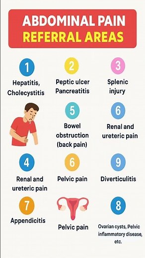 Abdominal Pain Referral Areas Explained | What Your Pain Location Means