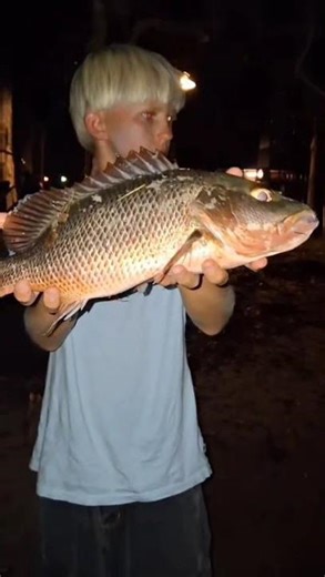 “Australian Mangrove Jack at Night 🇦🇺🎣”
