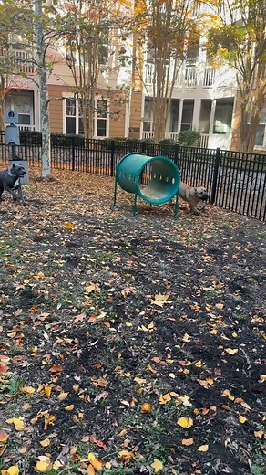 14 reactions | I’m so glad she got him acting this way because when it’s just me and him he get on my damn nerves, Rena might not go back home  ⬆️ | John Gilbert | Facebook