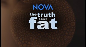 Tonight at 8 p.m. on WGTE HD watch Nova: The Truth About Fat. Scientists are coming to understand fat as a dynamic organ—one whose size may have more to do with biological processes than personal choices. Explore the mysteries of fat and its role in hormone production, hunger and even pregnancy. | WGTE Public Media | Facebook