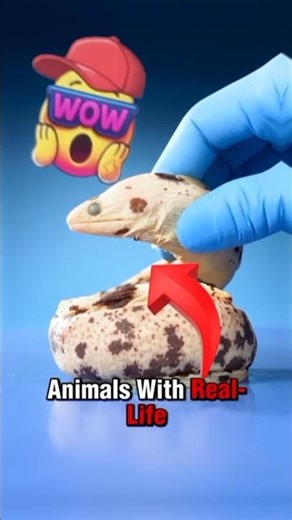 Top 3 Animals With Real-Life Superpowers — and number 1 is almost impossible to kill! 🦸‍♂️🐾