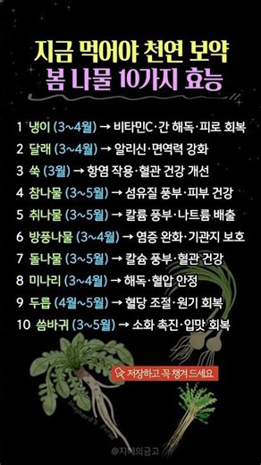 지금 먹어야 천연 보약 | 봄 제철 나물 10가지 효능