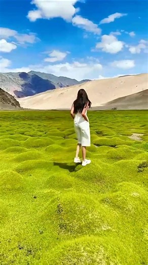 📍 Most Beautiful Places on Earth That Don't Feel Real 😍✨ #Shorts