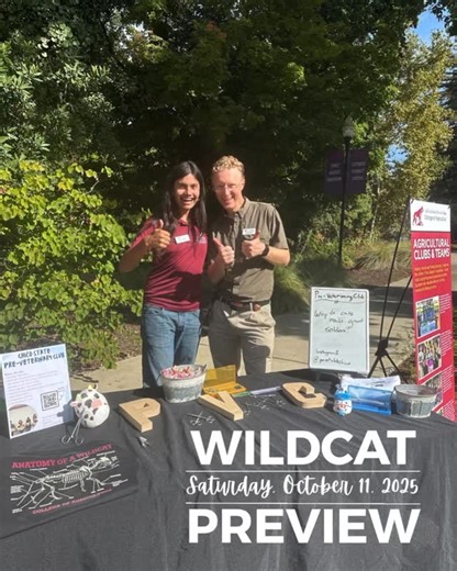  Ready to experience Wildcat life? Join us for Wildcat Preview —...