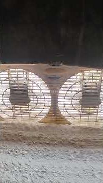 WINDOW FANS LOWER YOUR POWER BILL vs CENTRAL AIR OR AIR CONDITIONING #shorts #centralac #fans