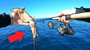 30K views · 1K reactions | Dropping huge squid in 300 ft of water for tasty fish! | AnglerUp with Brant | Facebook