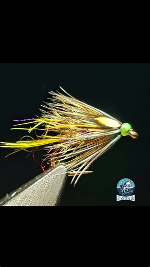 Hook B175 12# Tail GP Body SMG Sunburst Squirrel N Hare Mosaic Legs SMG Knotted Phesant Tail Yellow Rib Silver Wire Palmer SMG Dyed Olive Grizzly Cock Hackle SMG Dyed Sunburst Hen SMG Dyed Blue Grizzly Hen Cheeks JC Use Discount Code Peter10 for 10% off all orders over £10 at smgfishing.co.uk #flytying #flyfishing #fyp #Scotland #smgfishing