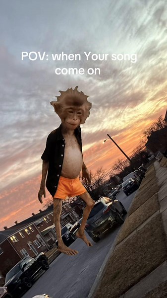 #Meme #MemeCut