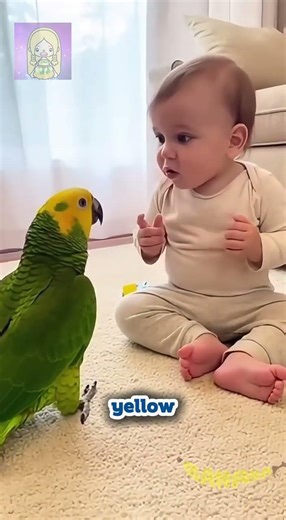 The World's Angriest (and Cutest) Language Teacher