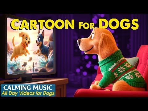 Cartoon for Dogs: Relaxing & Fun Videos for Dogs Home Alone - Dog TV & Calm Music to Prevent Boredom