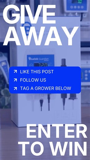 Bluelab_Official on Instagram: "WIN a Bluelab Guardian Monitor Wi-Fi 🎁🌿 Heading into the holiday season, keep an eye on the key growing parameters 24/7. The Bluelab Guardian continuously monitors pH, EC, and temperature so you can stay consistent even when you are away from your grow. How to enter ❤️ Like this post 👀 Follow @bluelab_official 👇 Tag a grower below who would love around the clock monitoring Tag more growers in the comments for extra entries 🙌 Open worldwide 🌍 until 5pm 15 Dec