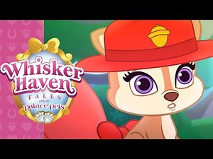Whisker Haven Tales with the Palace Pets | It's Camper Time | ‪@disneyjr‬