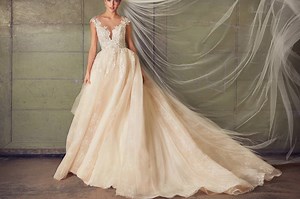 Les 7 robes de mariée les plus chères de l'histoire