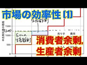 【ミクロ経済学の初歩】市場の効率性 (1)