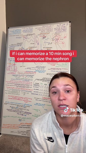 Master Memorization Techniques for Studying Efficiently