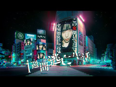 PEDRO1週間逃亡生活