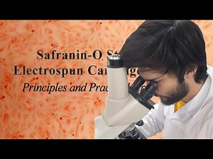 Safranin O Staining for Electrospun Cartilage Scaffolds | 7-Min Lab Protocol Guide
