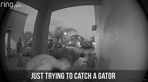 391K views · 2.4K reactions | A Pasco County man was alerted by his Ring camera to some movement near his front door. He had a good laugh when he realized it was someone trying to catch an alligator.  "This may be the most Florida thing ever to happen to us." STORY: https://bit.ly/2wHHZAT (Video courtesy: Brandon Taylor) | FOX 13 News - Tampa Bay | Facebook