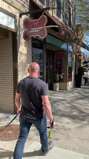 Magnus' Day Out at the Dog Bakery