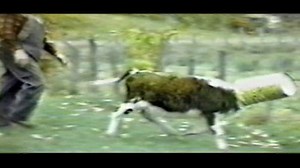 Watch Funniest Pets & People Season 8 Episode 1 - Oh Baby!