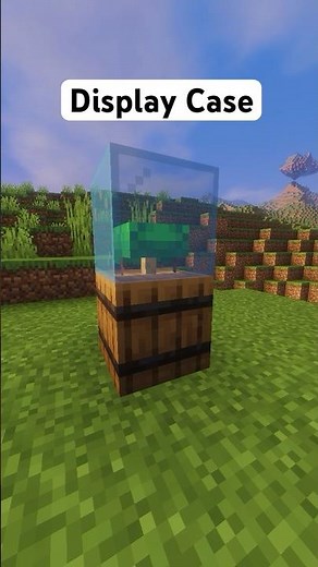 Display Case for Helmets in Minecraft #shorts