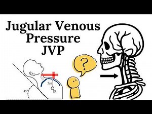 Jugular Venous Pressure JVP Explained: How to Measure It & Never Confuse It Again