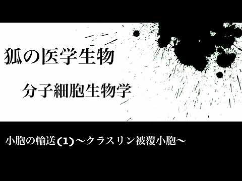 分子細胞生物学66 小胞の輸送(1)〜クラスリン被覆小胞〜
