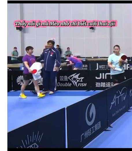 Mèo nhỏ và câu chuyện thú vị tại sân tập