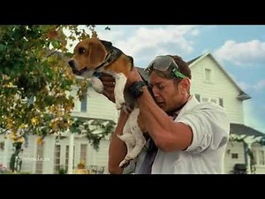 Cats and dogs - 2001 l movie clip l Tamil l