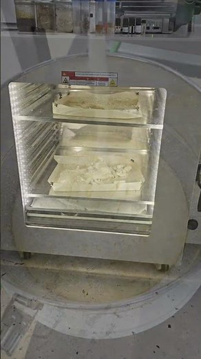 Cheeto Tech | Achieving 99% Pure THCa Isolate with Butane Extraction