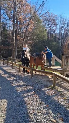 Horseback ride coming in | Cades Cove Riding Stables (The National Park's stables in Cades Cove)