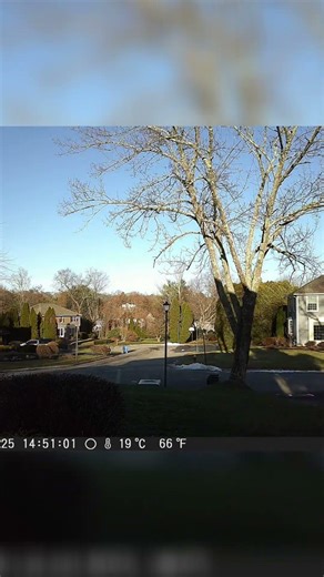 Winter’s Embrace: 4K Snowy Time-Lapse (Nov 30 - Jan 4) | Relaxing Nature & Winter Scenery