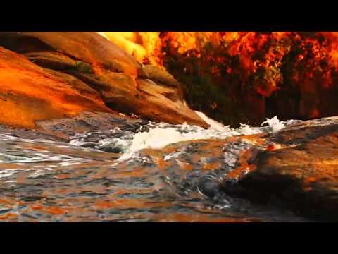 Cactus Smart Sink system for Controlled Substances and Pharmaceutical Waste.