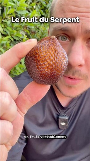 Le FRUIT DU SERPENT 🐍😳 | Et si sa peau n’était pas un hasard ?