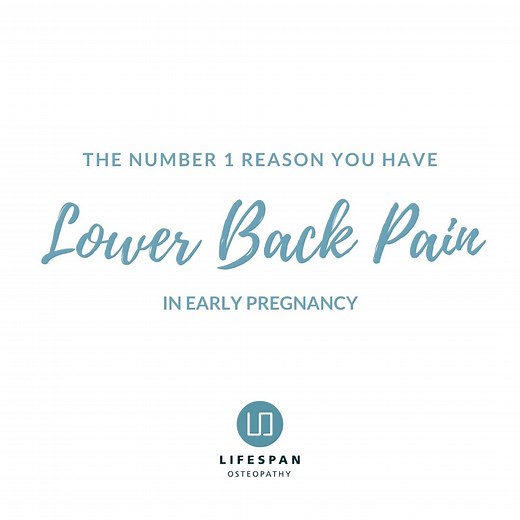 The Number 1 Reason you have Lower Back Pain in Early Pregnancy | Lifespan Osteopathy Essendon