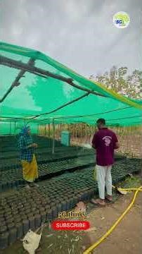 😭 తల్లి మాట వినని కొడుకు..#5g_thinks #villagevideos #chinnakka #sadstory #thalliprema #emotinal