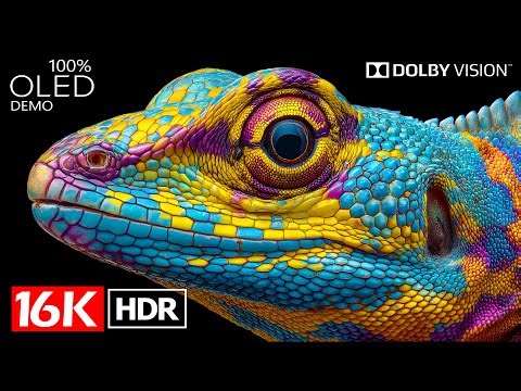 OLED TEST - BEST Dolby Vision Demo 16K HDR 120fps (8K / 4K TV)