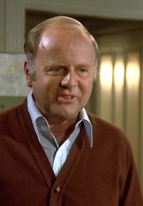 Eight Is Enough S01:E09 - The Gipper Caper
