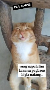 2.5K views · 15 reactions | Compilation mona tayo mga guys..panoorin nyo guys sobrang nakakaaliw. #Compilation #funnyvideos #funny #friends #follower #highlightseveryonefollowers2025 #domingoreluna | Domingo Reluna | Facebook