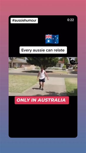 The Majestic Magpie: Exploring Aussie Bird Behaviors