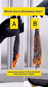 Guess which one is real human hair...👇👇👇 Do you know the difference between human hair and synthetic hair?🤔 . . #hairtest #HumanHairVsSynthetic #HairSecrets #XBLhair | XBL Hair