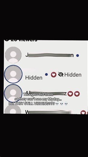 Issues with Facebook Myday Privacy